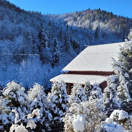 Villa Deep Forest Berehomet